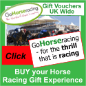 Horse Experience