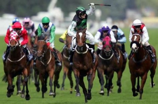 Spend a day out horse racing with us!