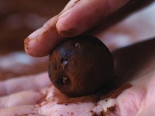 Chocolate Making Workshop (London, Manchester, Brighton) - Includes chocolate souvenir