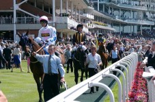 Racehorse Ownership for 2 in South England - Unique Racehorse and Horse Racing Experiences from Golden Moments