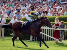 Horse Racing Day Out - a Day For Two At One of Our 49 Racecourses