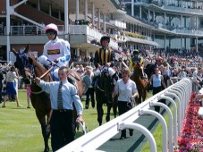 Racehorse Ownership for One Experience - Unique Horse Racing Experiences from Golden Moments