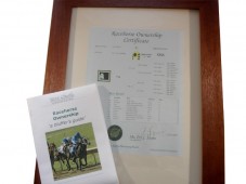 Become a Racehorse Owner - With a Certificate to Prove it