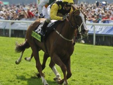 Go Horse Racing for Two Deluxe - Chester Chester Racecourse, UK
