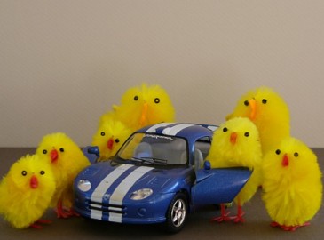 Easter Presents