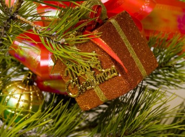 Give a Christmas Gift in Manchester