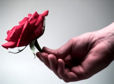 Valentine's Gift Ideas for Her