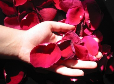 Valentine's Gift for Women