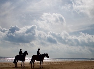 Horse Riding Gift Ideas for Valentine's Day