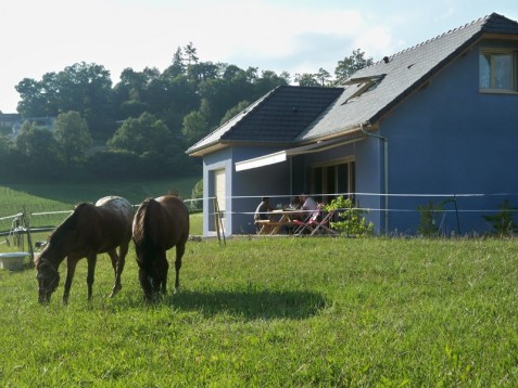 Relais Milord - 1 Nuit, Petit Déjeuner et Dîner pour deux (64)