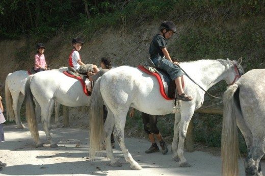 Ruta a Caballo en Lleida - 2 personas