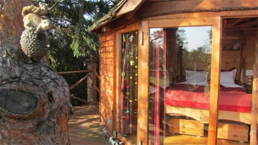 Extraordinarily overnight stay in a tree house! 