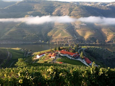 Great Vineyard Wine Route in Douro, Portugal for Two