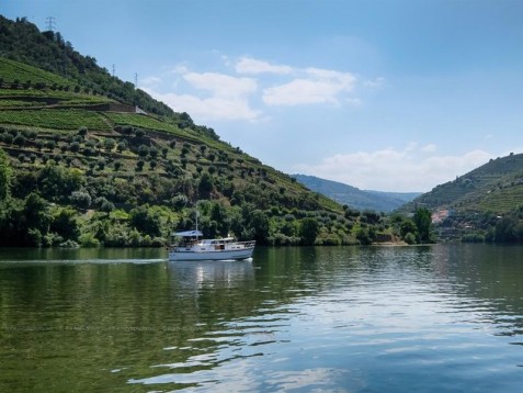 Guided Port Wine Tour in Douro, Portugal for two