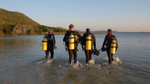 Scuba Dive Galway