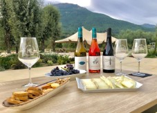 Cata de Vinos Premium con Visita a Bodega y Table de Quesos - 2 personas
