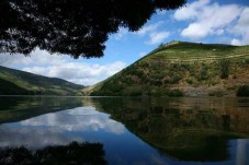 Guided Port Wine Tour in Douro, Portugal for two