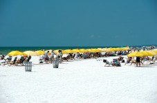 Clearwater Beach Day and Lunch - Child