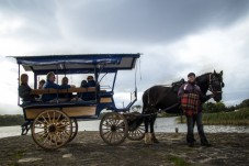 Killarney Lake Tour and Jaunting Car Ride