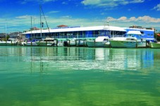 Clearwater Beach Day and Lunch - Adult