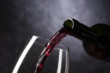 Curso Básico de Cata de Vinos - Valencia