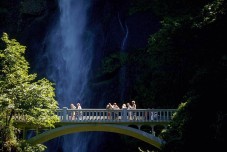 Columbia Gorge waterfalls and wine tour