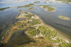 Vol en hélicoptère Camargue