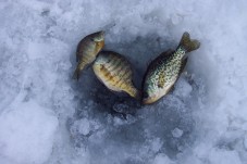 Winter fishing and snowshoe walking for two