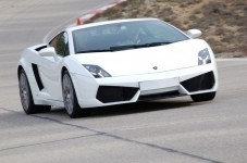 Drive a Lamborghini