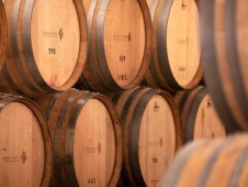 Visite Premium de la Quinta Nova dans le Douro avec Déjeuner