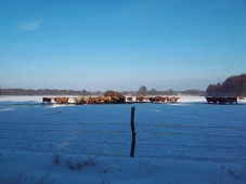 Winter Quad Tour mit Gänsebraten