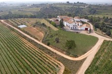 Dégustation de vin et menu à Barcelone 