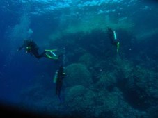 Open Water PADI Diving Course