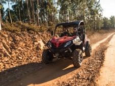 Grande Tour de Buggy Off Road no Porto p/2 (3h00)