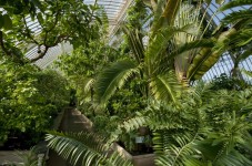 Royal Botanical Gardens London - For Two