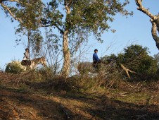 Passeio a Cavalo na Serra de Grândola