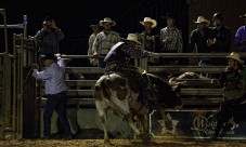 Real Rodeo Western Ranch Adventure