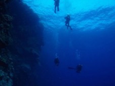 Open Water PADI Diving Course