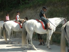 Ruta a Caballo en Lleida - 2 personas