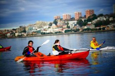 Passeio Guiado de Kayak no Rio Douro p/2