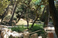 Parc animalier de la Barben - 1 Enfant (3-12 ans)