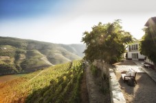 Visite Premium de la Quinta Nova dans le Douro avec Déjeuner