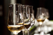 Cata de Vinos Premium con Visita a Bodega en Madrid - 2 personas