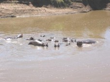 6 Day Safari in Kenya - Africa