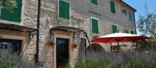 Guided Truffle Hunt in Istria