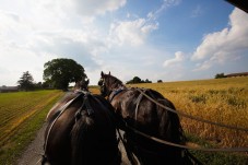 Philadelphia and Amish Countryside day tour from NYC