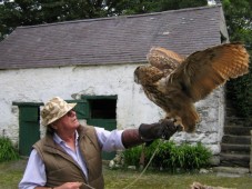 Helicopter Flight - plus Falconry Experience