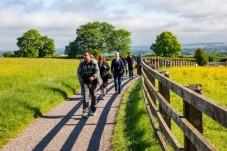 Celtic Boyne Valley Tour