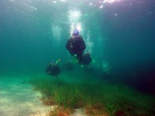 Scuba Diving PADI Course