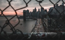 Brooklyn food and street-art walking tour